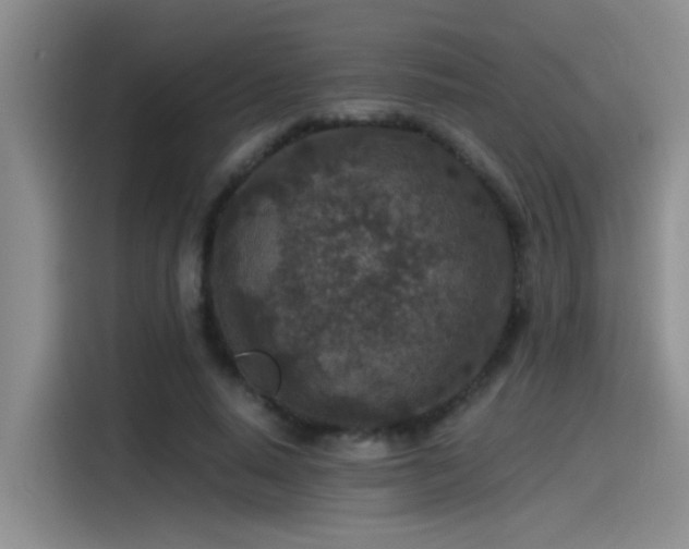 X0000115260640200911061239