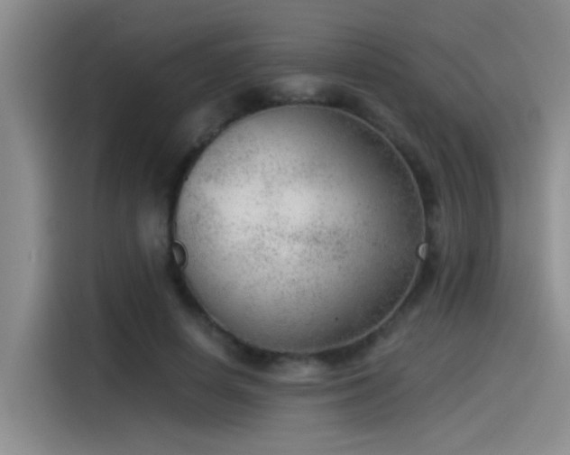 X0000115260642200911061239