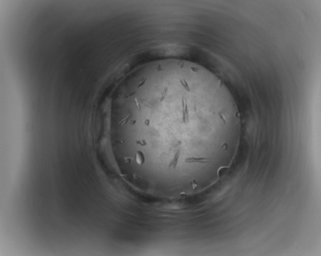 X0000115260643200911061239