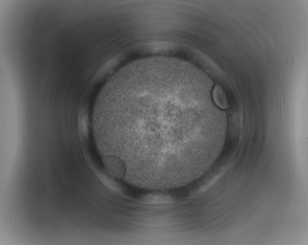 X0000115260644200911061240