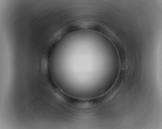 X0000115260646200911061240