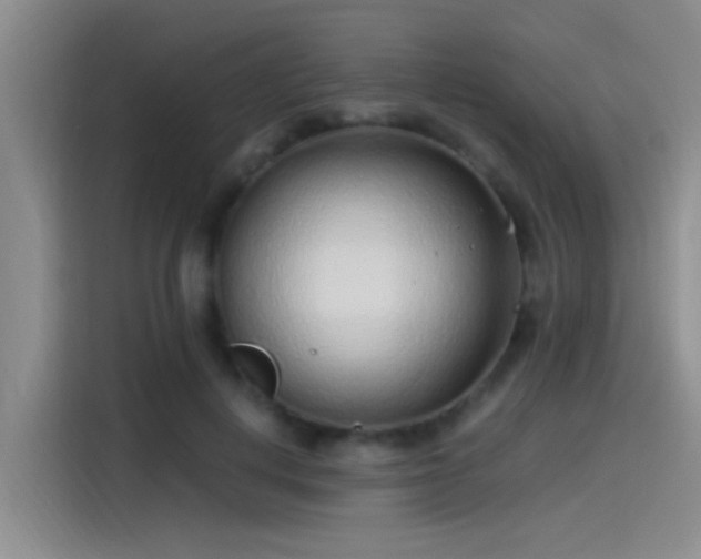 X0000115260648200911061240