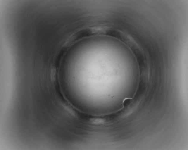 X0000115260649200911061240