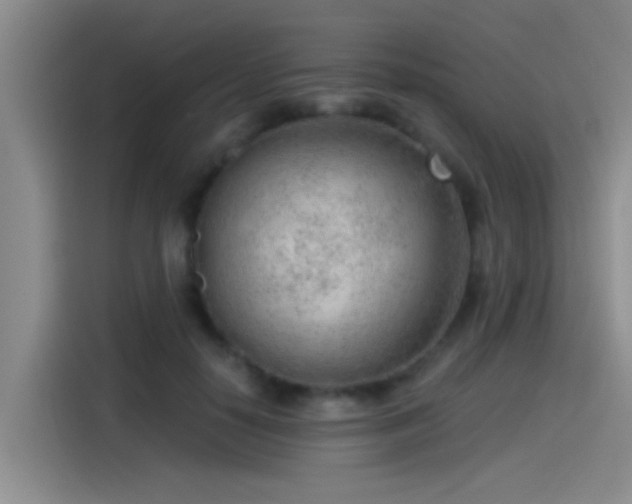 X0000115260650200911061240
