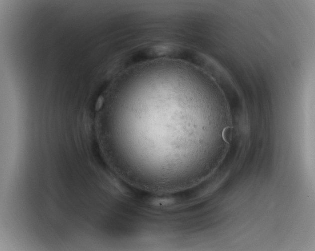 X0000115260653200911061240