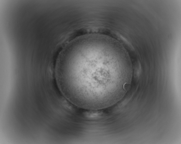 X0000115260661200911061240