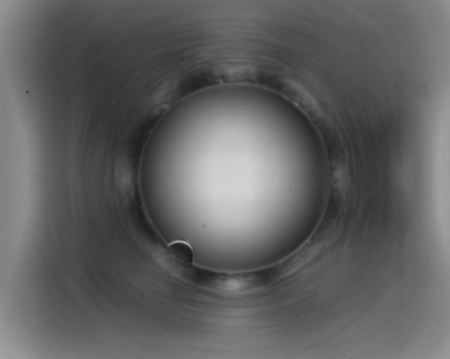 X0000115260662200911061240