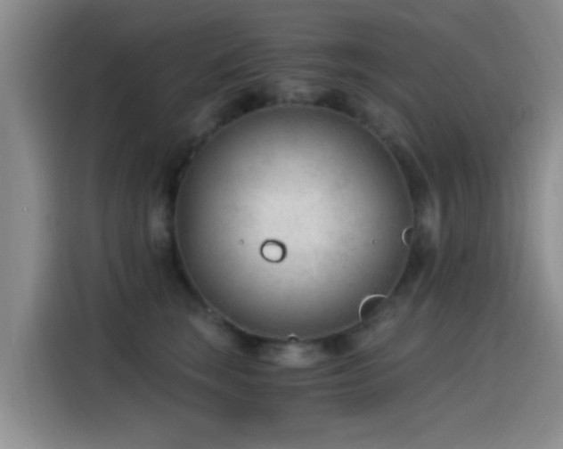 X0000115260663200911061240