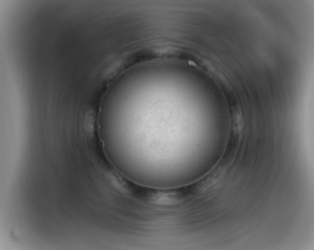 X0000115260664200911061240