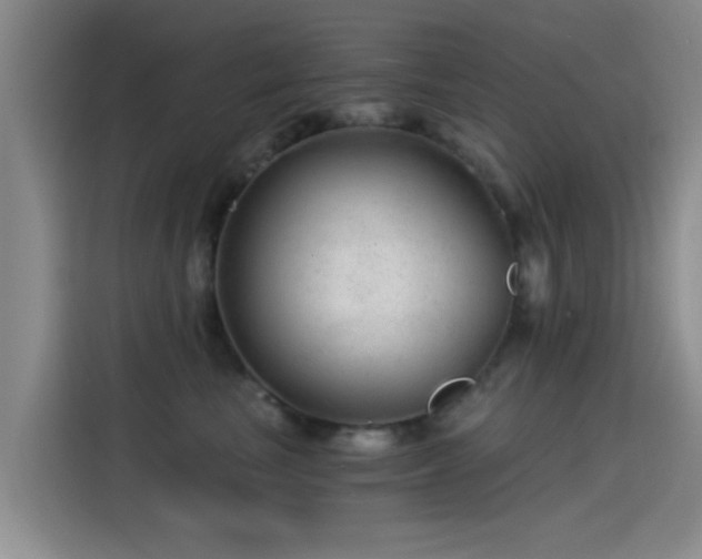 X0000115260665200911061240