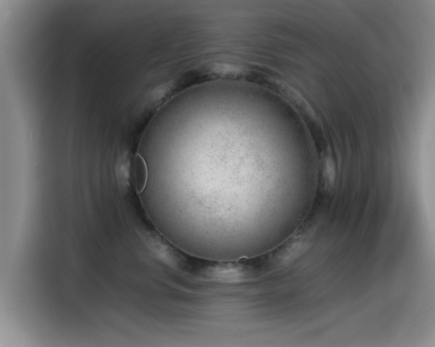 X0000115260668200911061240