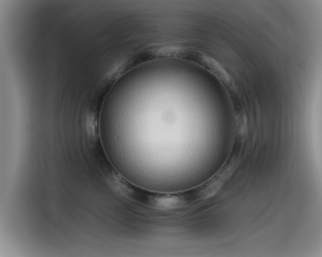 X0000115260669200911061240
