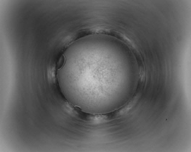 X0000115260670200911061240