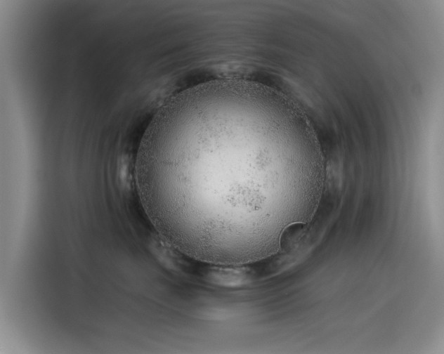 X0000115260671200911061240