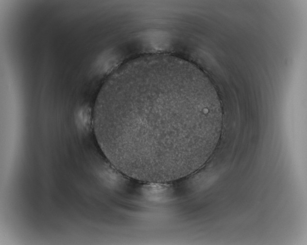 X0000115260672200911061240