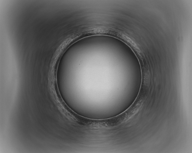 X0000115260673200911061239