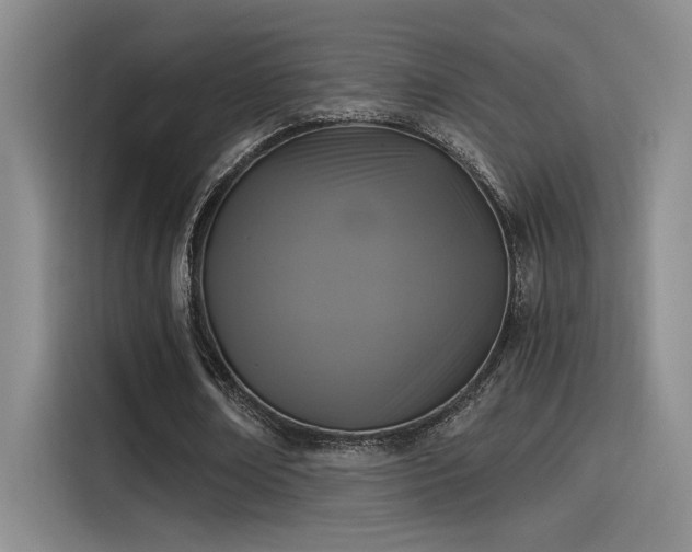 X0000115260674200911061239