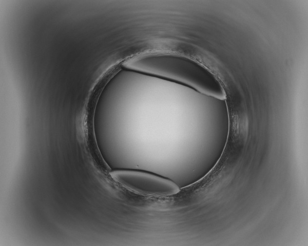 X0000115260676200911061239