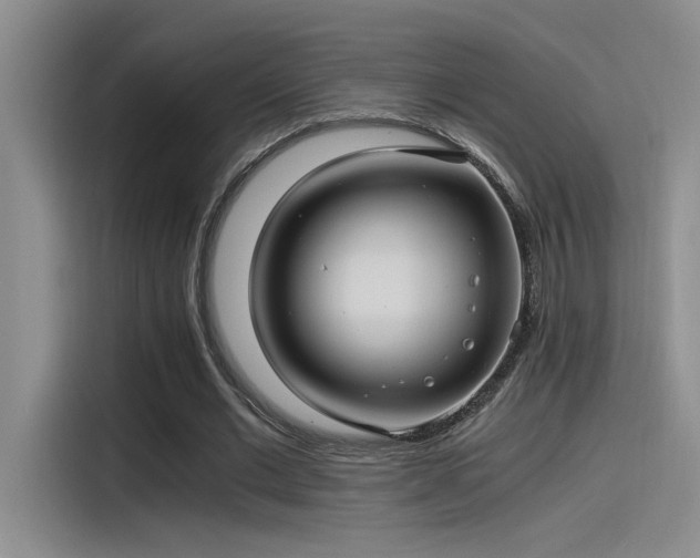 X0000115260677200911061239