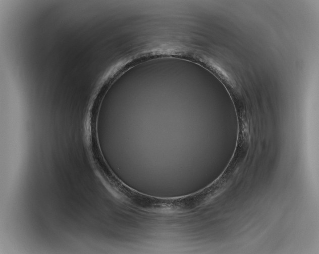 X0000115260678200911061239