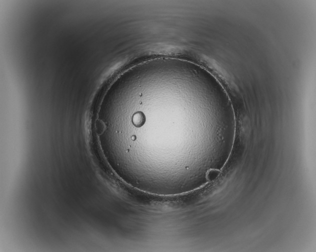 X0000115260679200911061239
