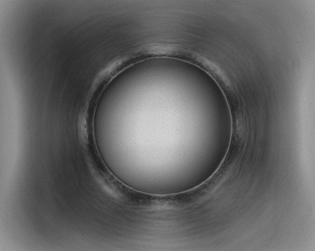 X0000115260682200911061239