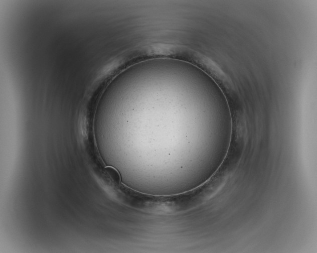 X0000115260683200911061239