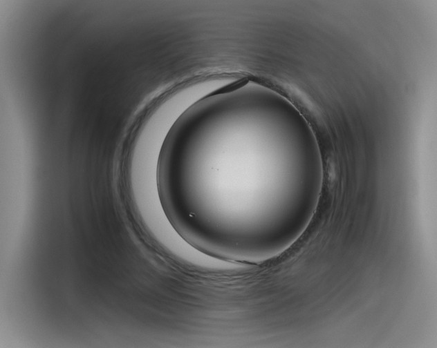 X0000115260684200911061239