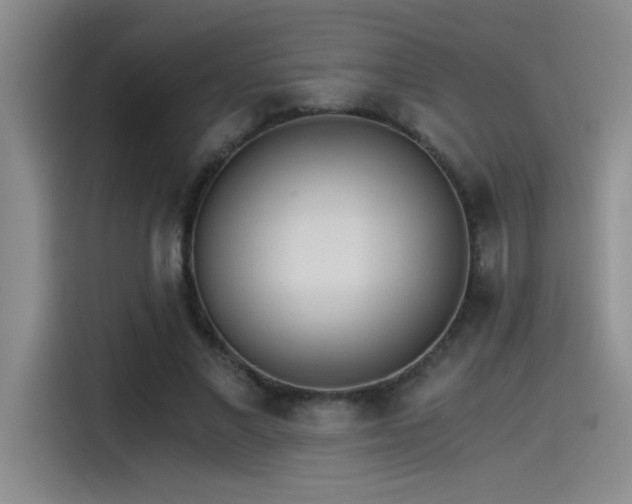 X0000115260685200911061239