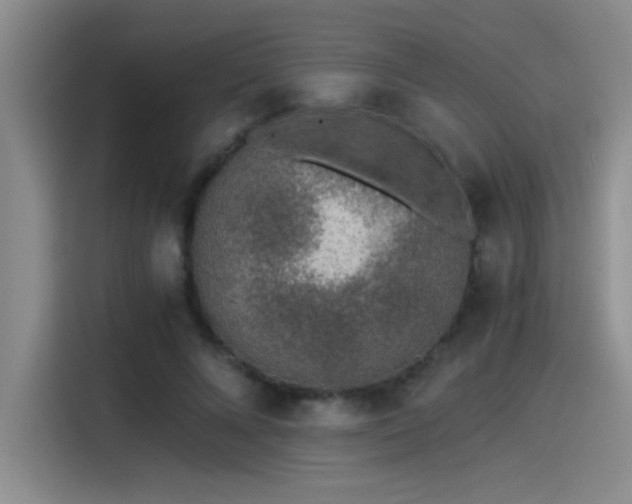 X0000115260688200911061239