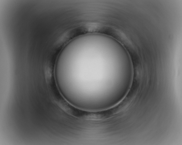 X0000115260691200911061239