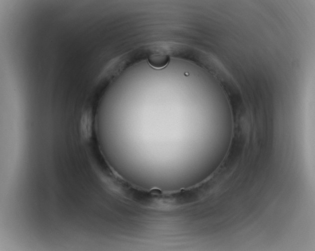 X0000115260694200911061239