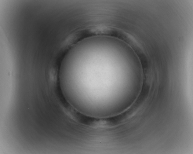 X0000115260695200911061239