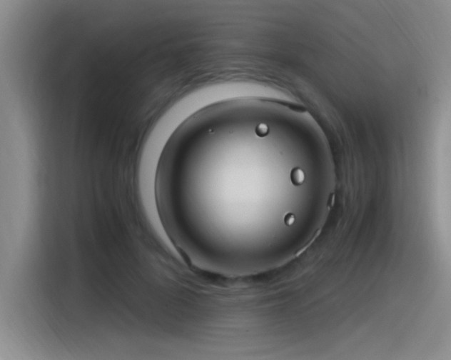 X0000115260696200911061239