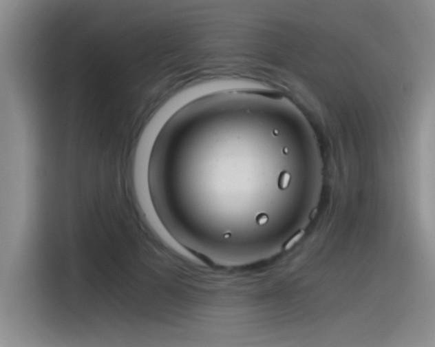 X0000115260697200911061239