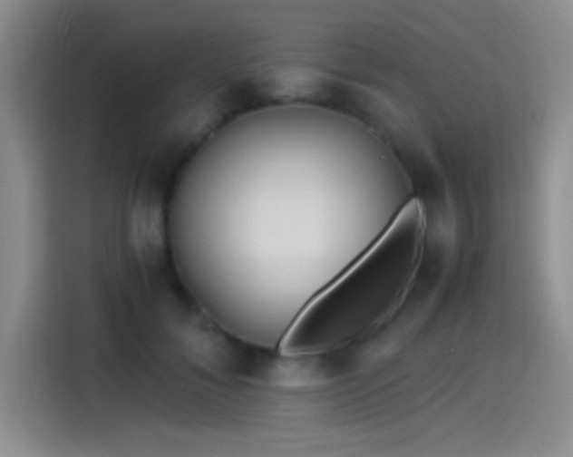 X0000115260700200911061239
