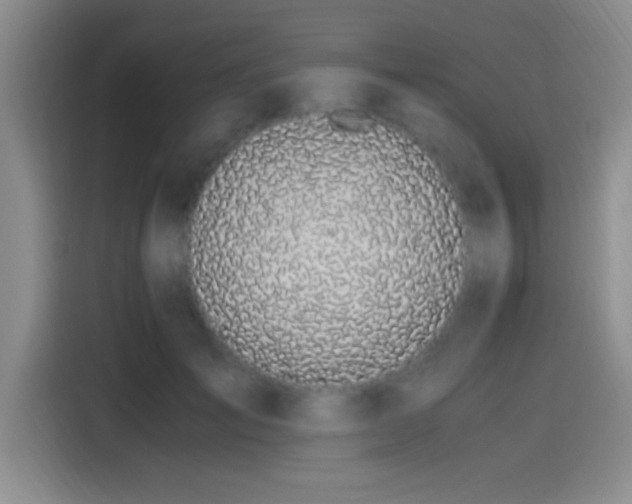 X0000115260701200911061239