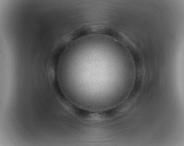 X0000115260703200911061239