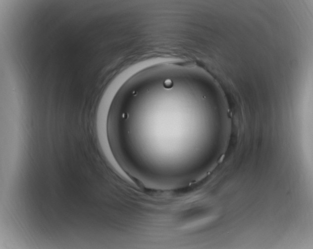 X0000115260705200911061239