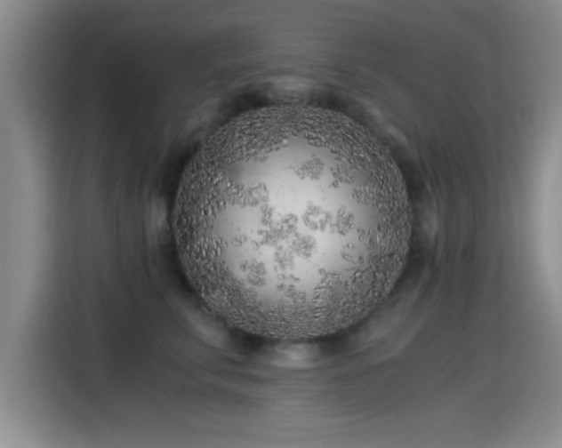 X0000115260711200911061239