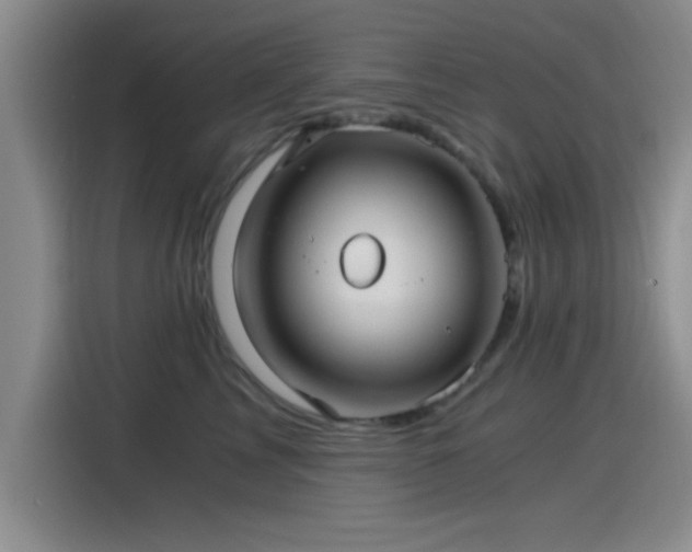 X0000115260713200911061239
