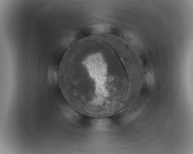 X0000115260716200911061239