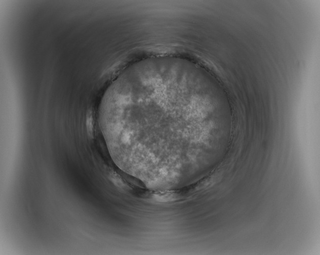 X0000115260720200911061239
