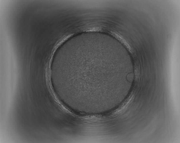 X0000115260721200911061238