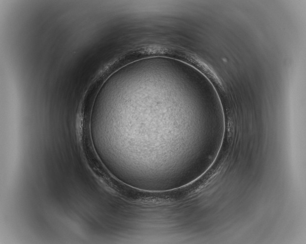 X0000115260722200911061238