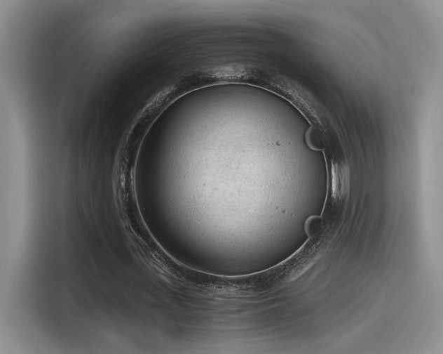 X0000115260723200911061238