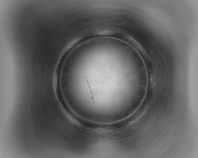 X0000115260725200911061238