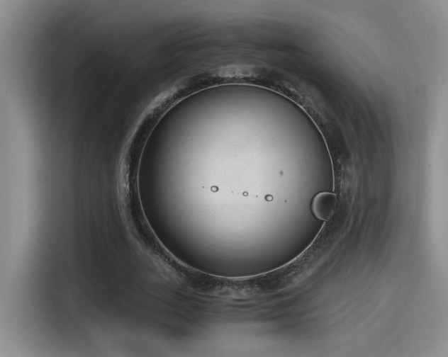 X0000115260727200911061238