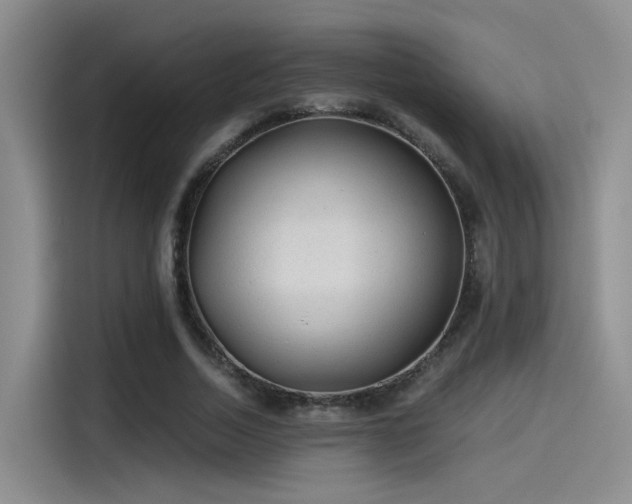 X0000115260730200911061238