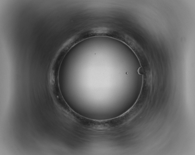 X0000115260731200911061238